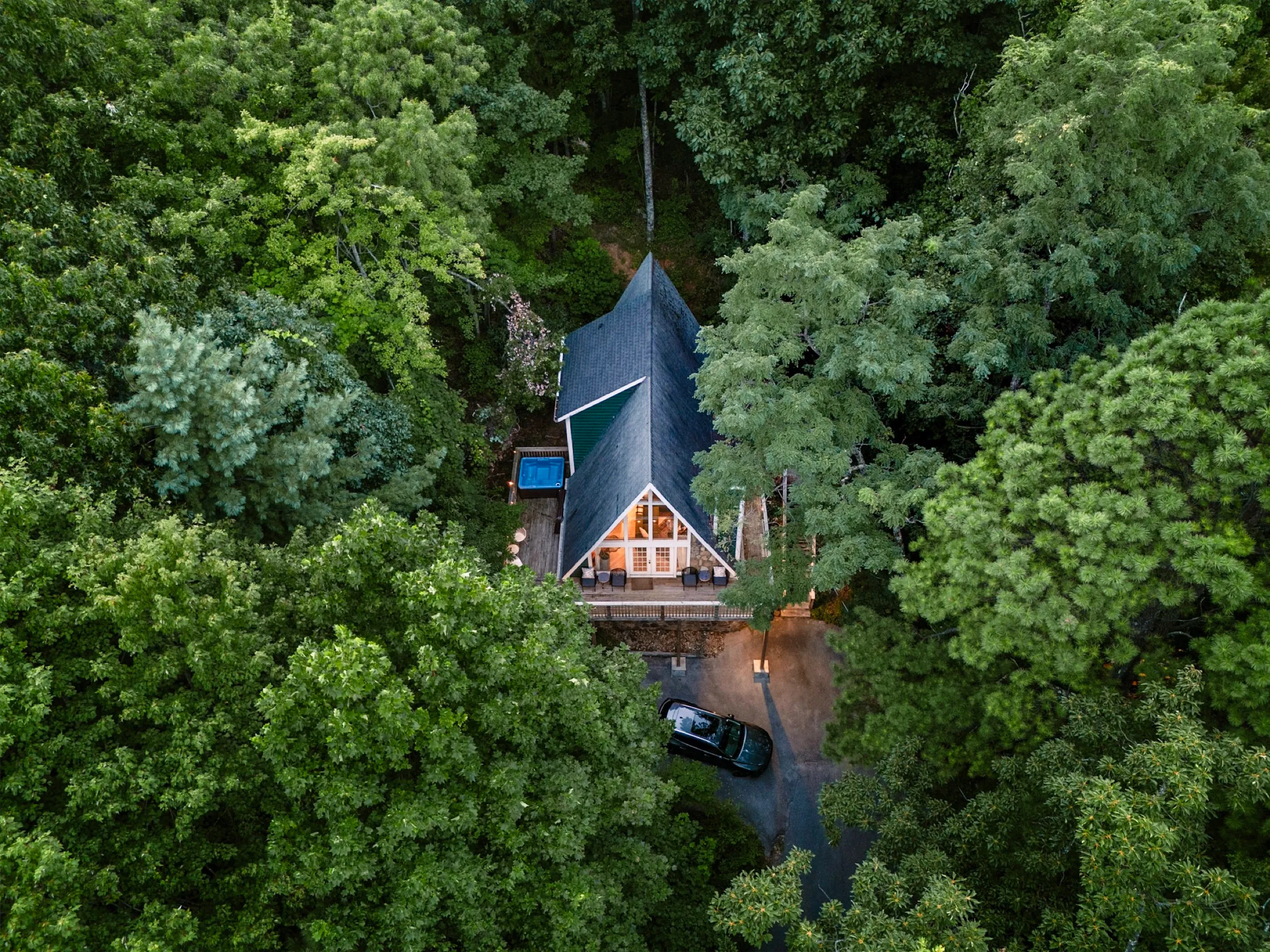 Forest exterior at Little Green Cabin