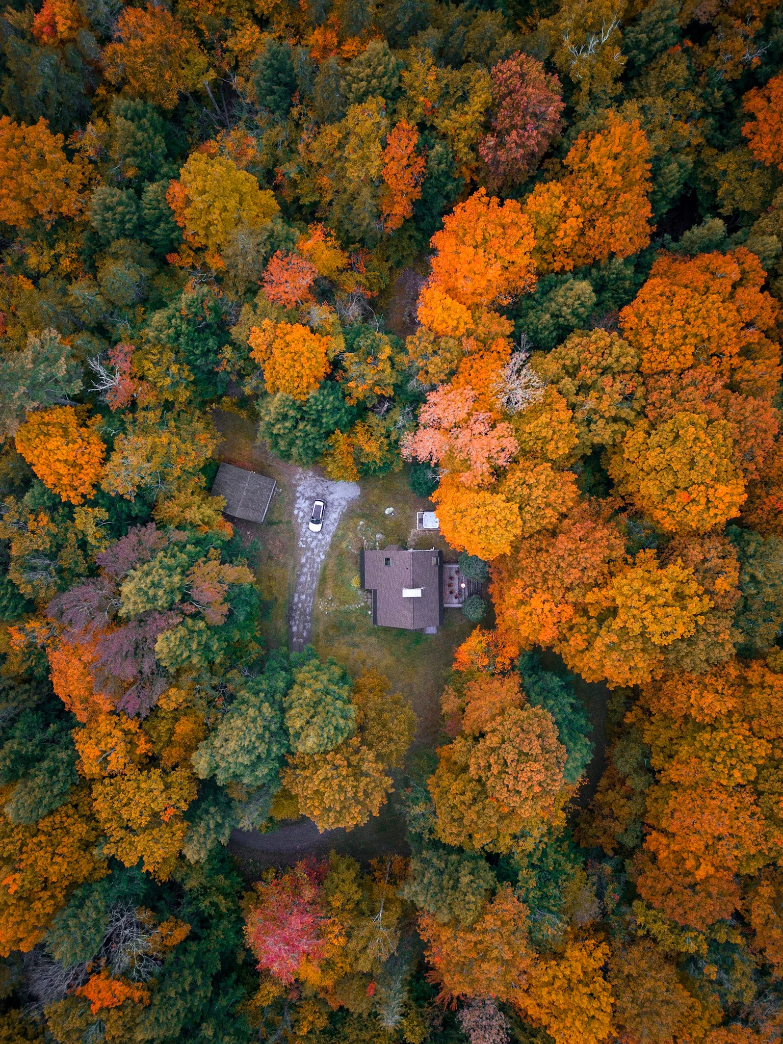 Aerial top down fall canopy over the 3 6 acres at Deerwood Hill