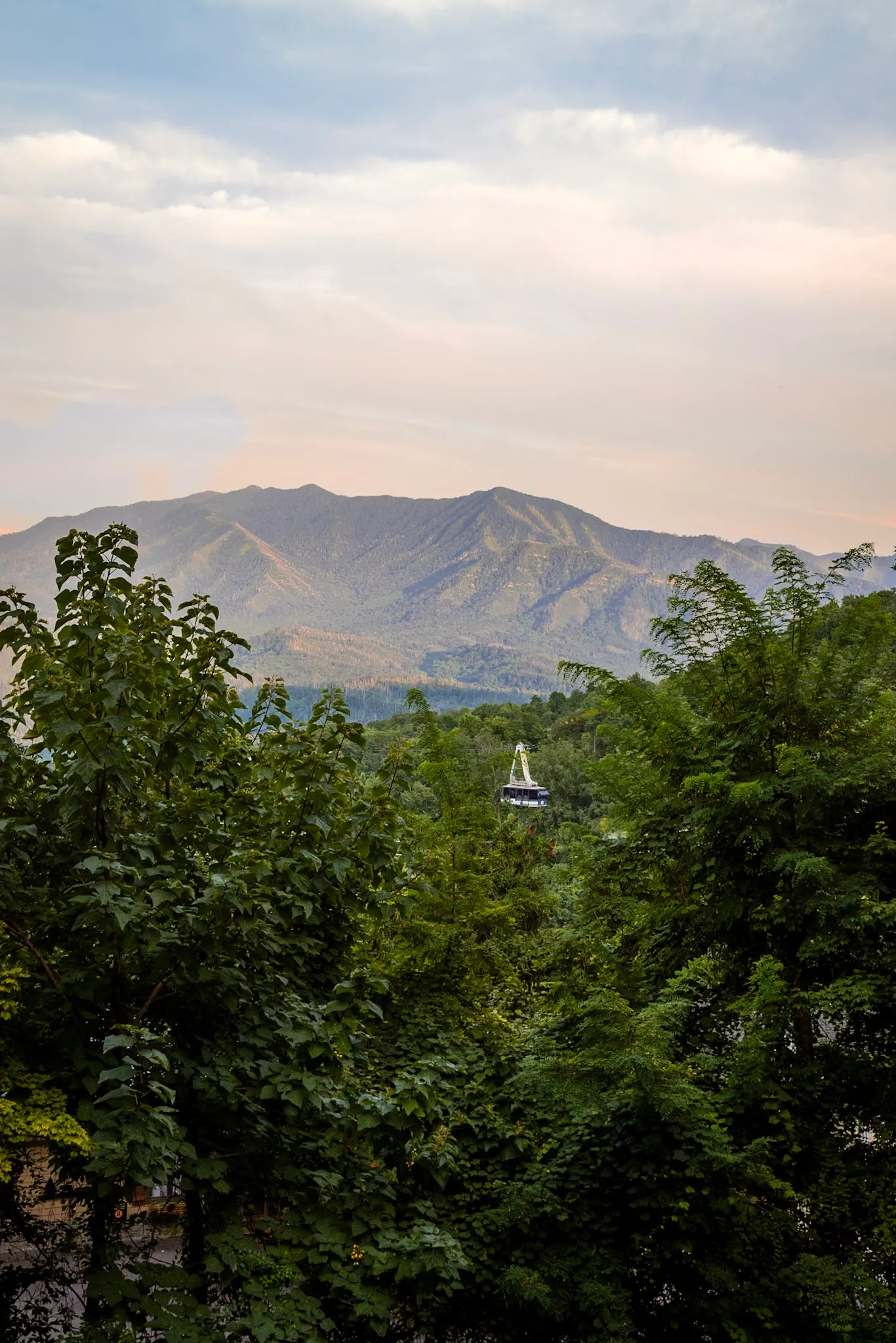 Mt leconte view through the trees at Après Chalet