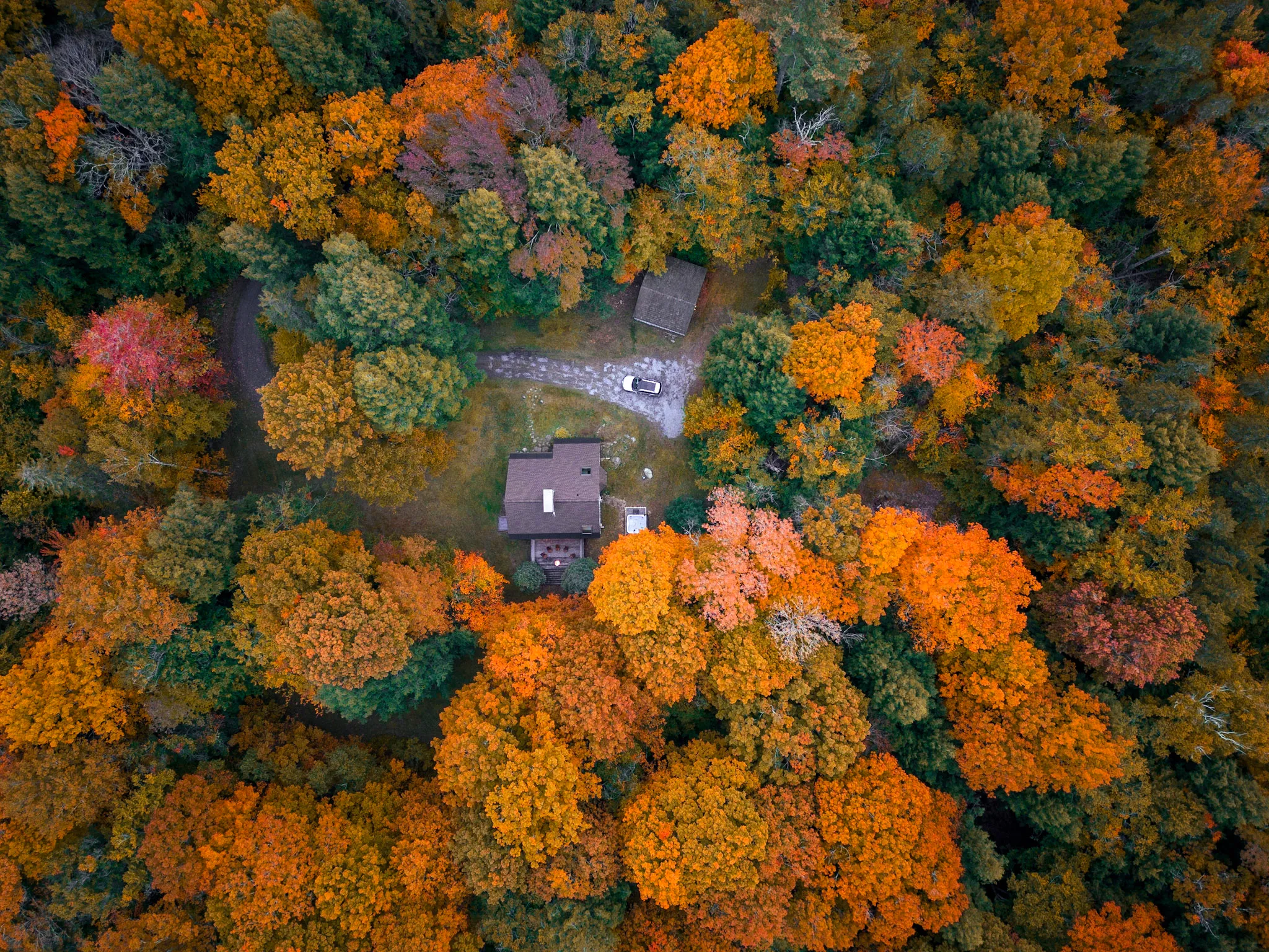 Deerwood Hill